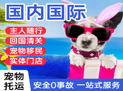 三义机场货运国际宠物托运 【国